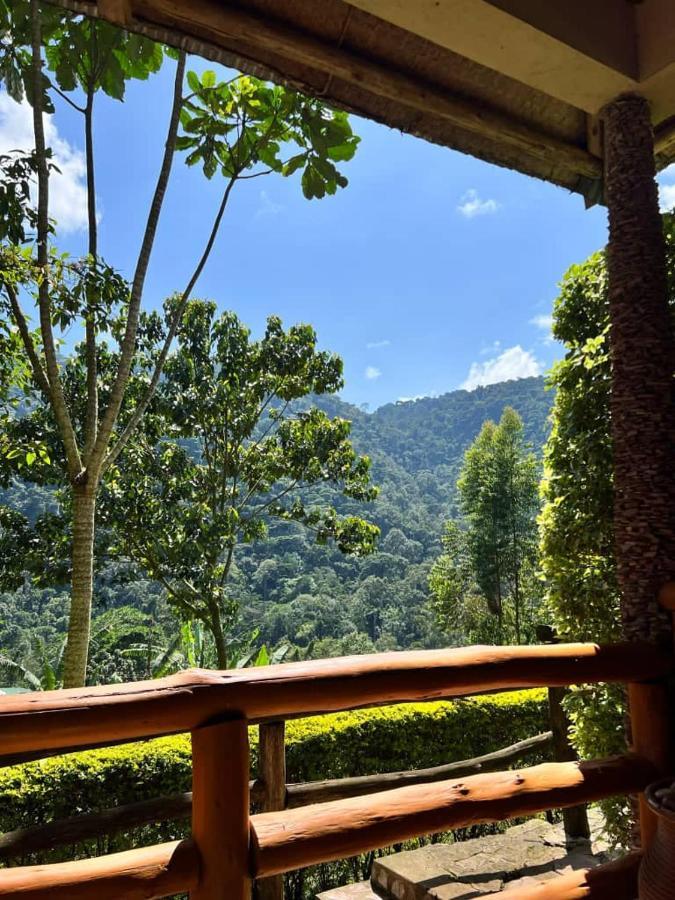 Bwindi Forest Lodge Buhoma Luaran gambar