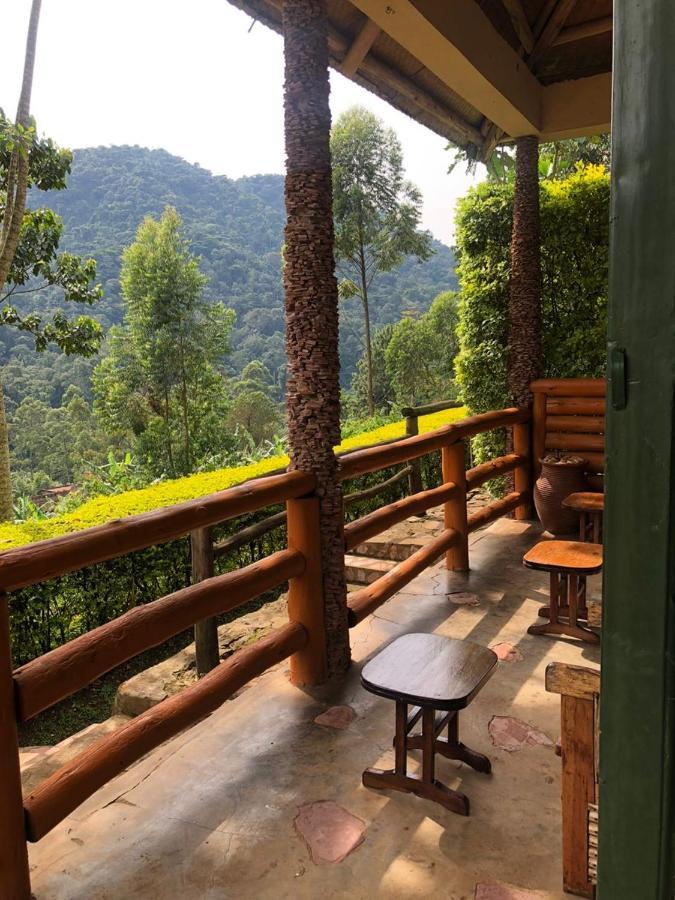 Bwindi Forest Lodge Buhoma Luaran gambar