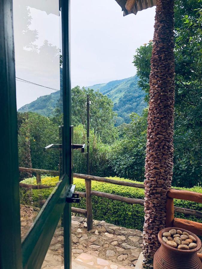 Bwindi Forest Lodge Buhoma Luaran gambar