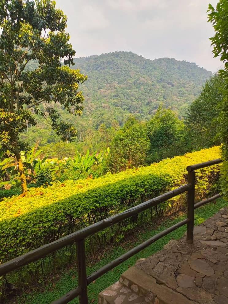 Bwindi Forest Lodge Buhoma Luaran gambar