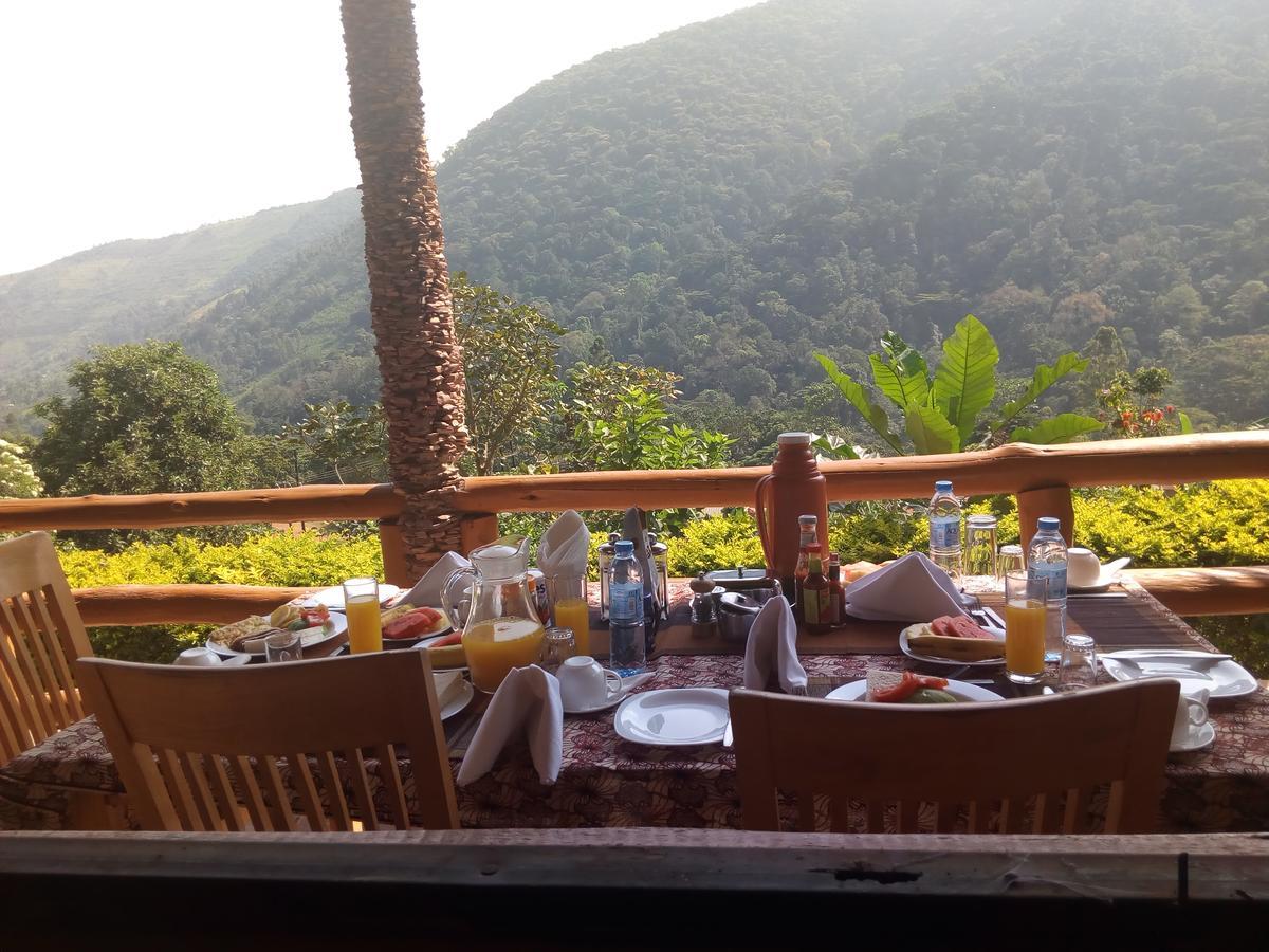Bwindi Forest Lodge Buhoma Luaran gambar