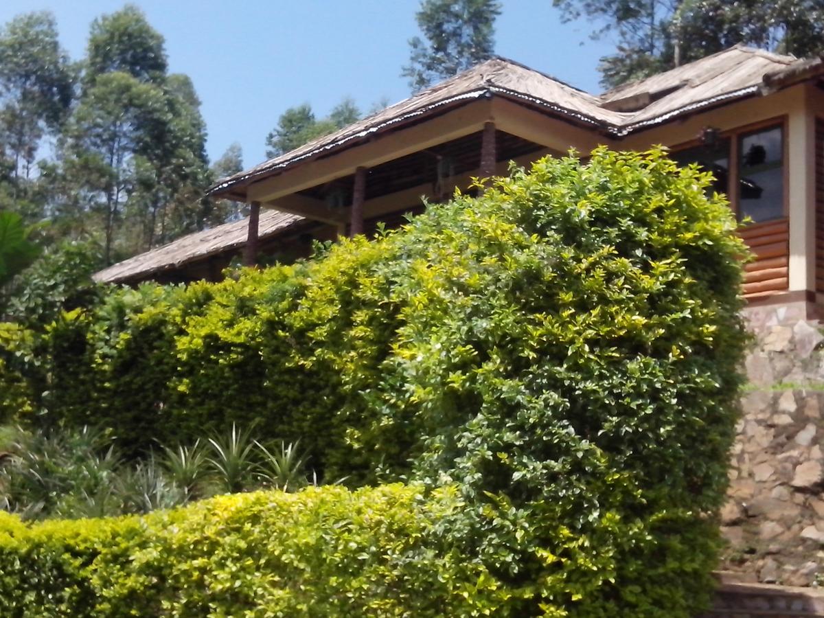Bwindi Forest Lodge Buhoma Luaran gambar